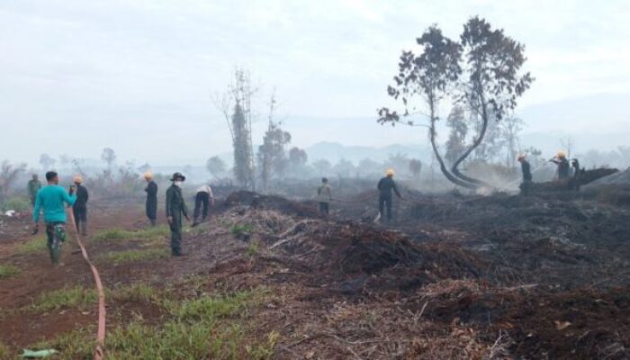 Karhutla di Aceh Selatan, Brimob Polda Aceh dan Tim Gabungan Berhasil Jinakkan Api 65 Hektare Sawit