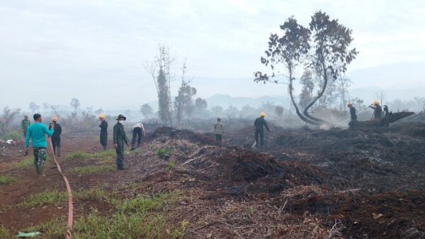 Karhutla Aceh Selatan Brimob bersama BPBD dan TNI padamkan api.