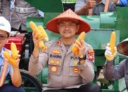 Panen Raya Jagung 5 Hektar, Kapolres Ketapang Tegaskan Dukungan untuk Ketahanan Pangan Nasional