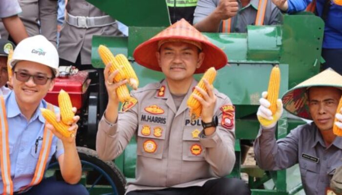 Panen Raya Jagung 5 Hektar, Kapolres Ketapang Tegaskan Dukungan untuk Ketahanan Pangan Nasional