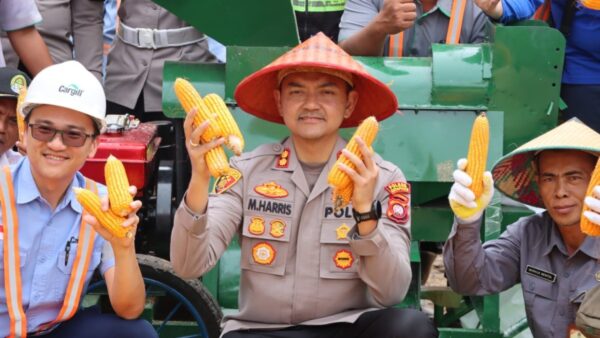 Kapolres Ketapang memimpin panen raya jagung 5 hektar di Kendawangan