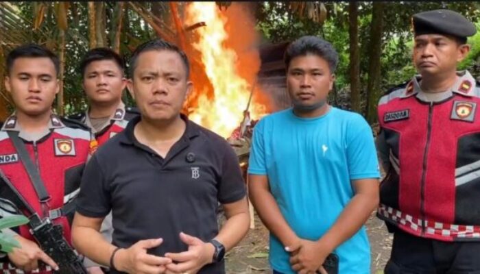 Penggerebekan Sarang Narkoba di Sibolangit, Bandar Sabu Ditangkap Satresnarkoba Medan