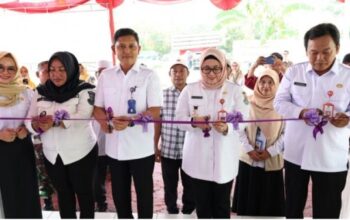 Wakil Bupati Tangerang resmikan UPI dan salurkan PMT berbahan ikan di Jayanti