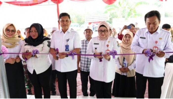 Wakil Bupati Tangerang Resmikan UPI dan Salurkan PMT Berbahan Ikan, Targetkan Nol Stunting
