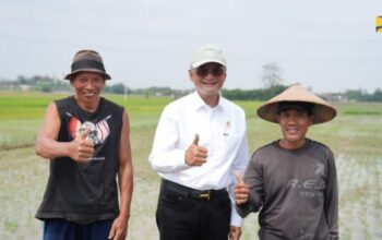 Bendungan Logung di Kudus sebagai penyuplai irigasi pertanian