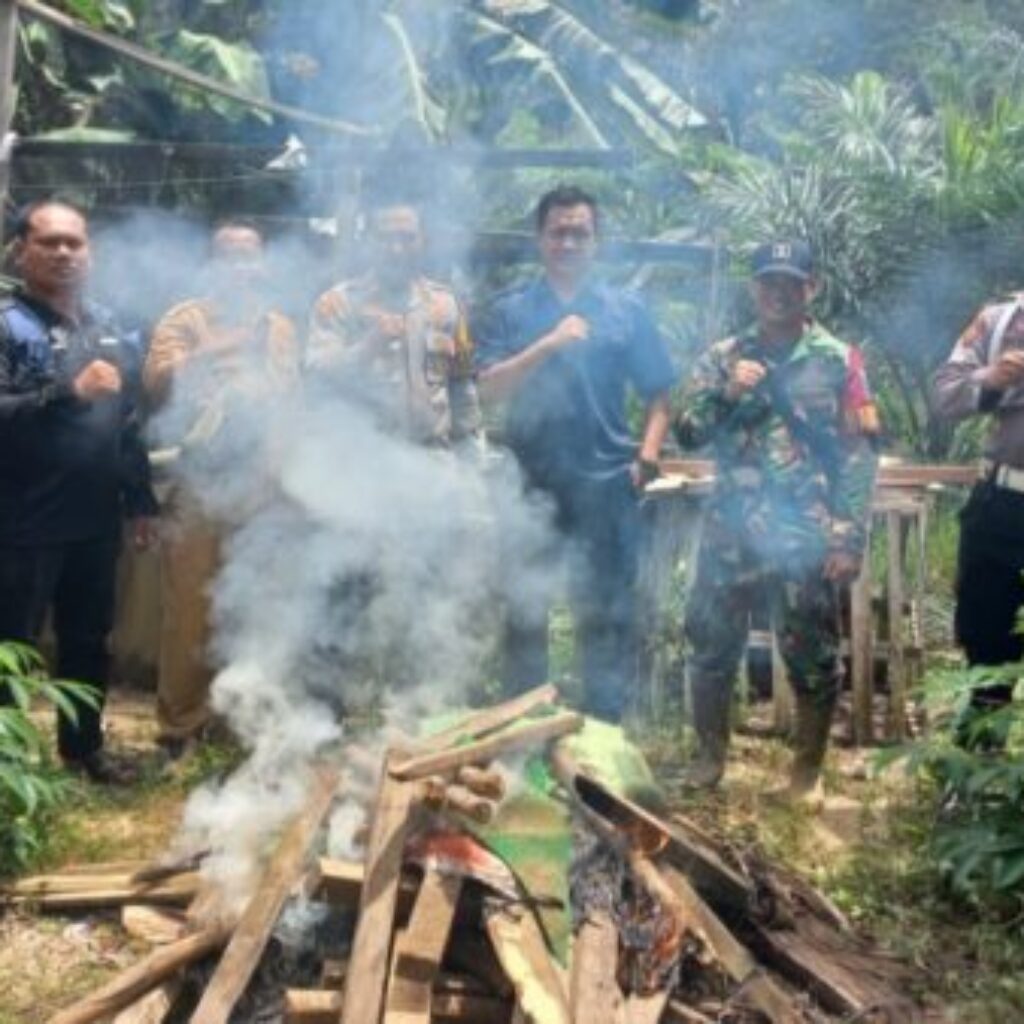 Polsek Tumbang Titi Bongkar Arena Judi Sabung Ayam di Ketapang, Pelaku Kabur Tinggalkan Lokasi