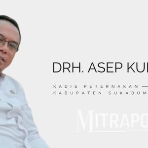 Kadis Peternakan Kabupaten Sukabumi Drh. Asep Kurnadi Ungkap Strategi Besar Tingkatkan Produksi Hewan Ternak