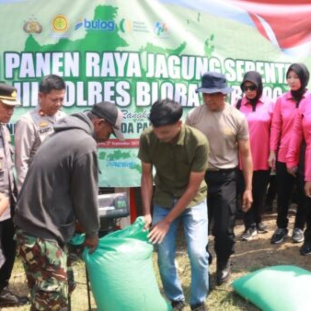 Panen Raya Jagung di Blora Capai 3 Ton, Forkopimda Kompak Dukung Ketahanan Pangan Nasional