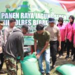 Panen Raya Jagung di Blora Capai 3 Ton, Forkopimda Kompak Dukung Ketahanan Pangan Nasional