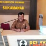 Pemandangan persawahan Desa Sukamanah, Sukabumi