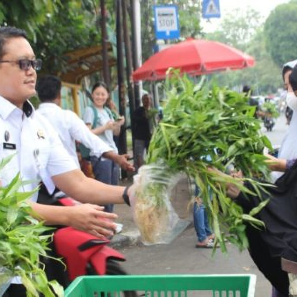 Rutan Jakarta Pusat Panen 70 Kg Kangkung, Wujudkan Kemandirian Warga Binaan dan Dukung Ketahanan Pangan
