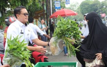 Rutan Jakarta Pusat panen kangkung bersama warga binaan sebagai program pembinaan kemandirian