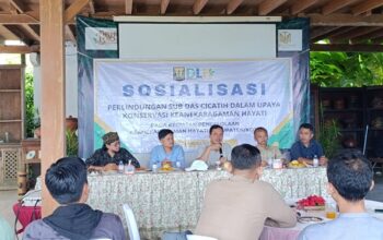 DLH Sukabumi Galang Kolaborasi Lindungi Sub DAS Cicatih dan Keanekaragaman Hayati