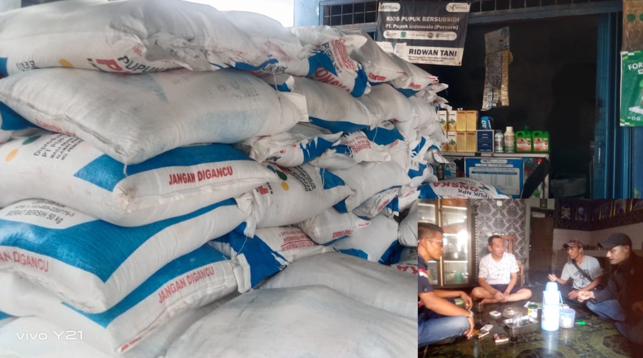 Diduga Jual Melebihi HET, Kios Pupuk Subsidi di Pagelaran Dikeluhkan Petani