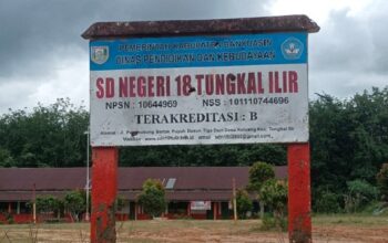 Dugaan Pungli di SDN 18 Tungkal Ilir Banyuasin, Orang Tua Murid Desak Dinas Pendidikan Ambil Tindakan