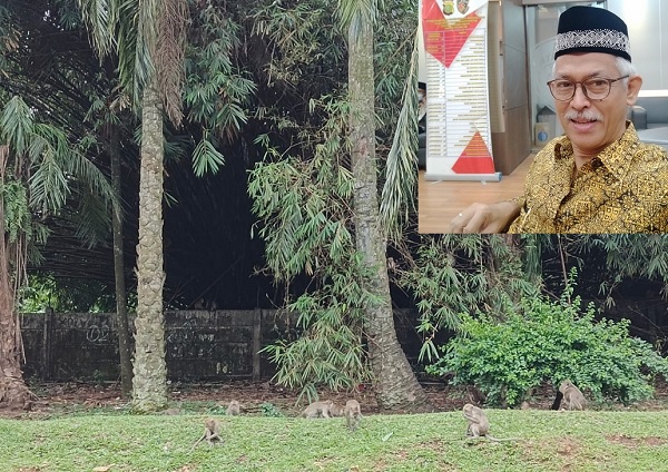 Kawanan Monyet dari Kawasan Reaktor Nuklir Puspiptek