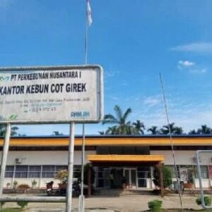 PTPN IV PalmCo Luruskan Isu HGU Cot Girek: Pemegang Legalitas Ada di PTPN I SupportingCo