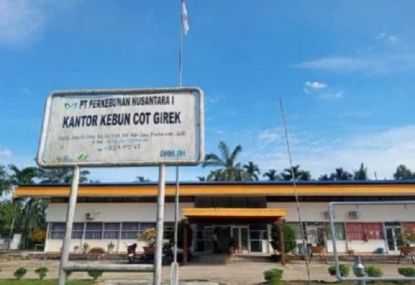 PTPN IV PalmCo Luruskan Isu HGU Cot Girek: Pemegang Legalitas Ada di PTPN I SupportingCo