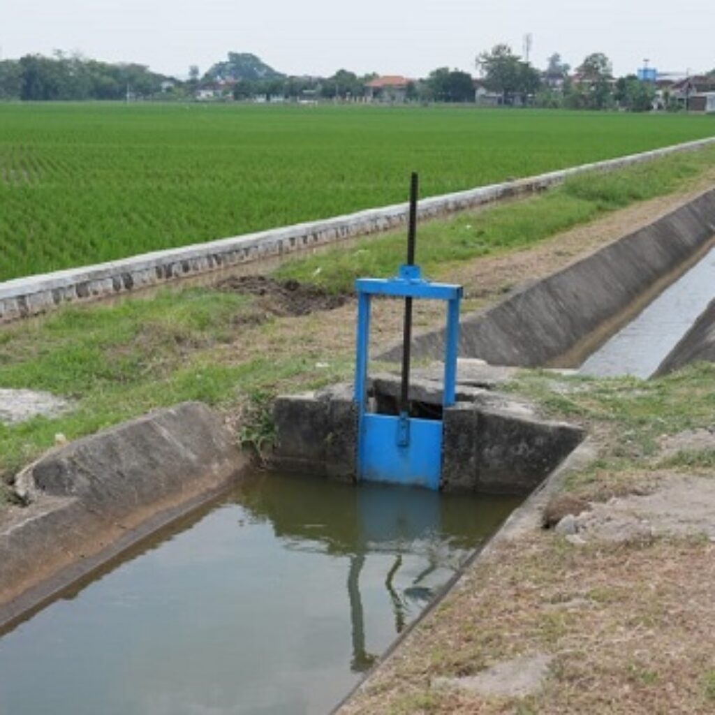 Peringati Hari Pangan Sedunia 2025, Kementerian PU Perkuat Infrastruktur Irigasi Dukung Swasembada Pangan