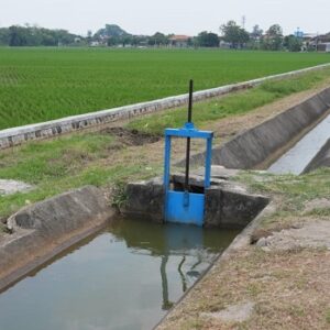 Peringati Hari Pangan Sedunia 2025, Kementerian PU Perkuat Infrastruktur Irigasi Dukung Swasembada Pangan