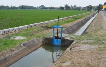 Peringati Hari Pangan Sedunia 2025, Kementerian PU Perkuat Infrastruktur Irigasi Dukung Swasembada Pangan
