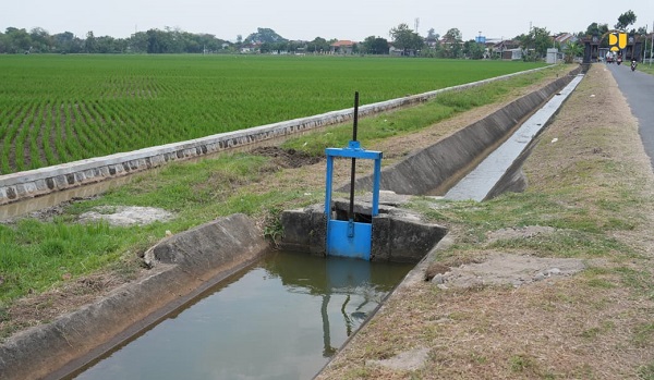 Peringati Hari Pangan Sedunia 2025, Kementerian PU Perkuat Infrastruktur Irigasi Dukung Swasembada Pangan