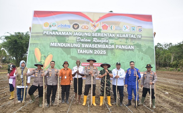 Polda Papua Barat Gelar Tanam Raya Jagung Serentak