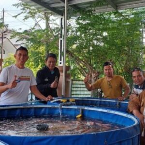 AMKI Dukung Ketahanan Pangan Nasional, Kunjungi ASO Farm Cirebon