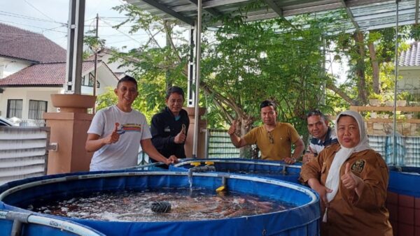 Pengurus AMKI Pusat berkunjung ke ASO Farm Cirebon mendukung Ketahanan Pangan Nasional.