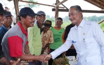 Jaringan Irigasi Air Tanah Blimbing di Gunungkidul meningkatkan hasil pertanian petani setempat