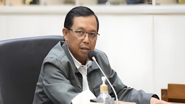 Presiden Prabowo Subianto meninjau program ketahanan pangan nasional di area pertanian