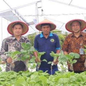 Lapas Tangerang Panen Sayur Hidroponik, Warga Binaan Jadi Petani Modern