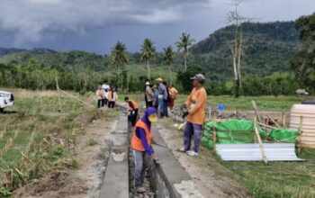 Program P3TGAI Kementerian PU tingkatkan infrastruktur irigasi dan serap tenaga kerja