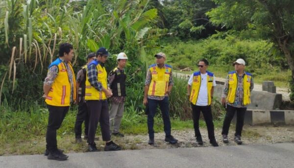Pekerjaan proyek jalan Sulawesi Tengah tahun 2025 dengan nilai Rp101 miliar.