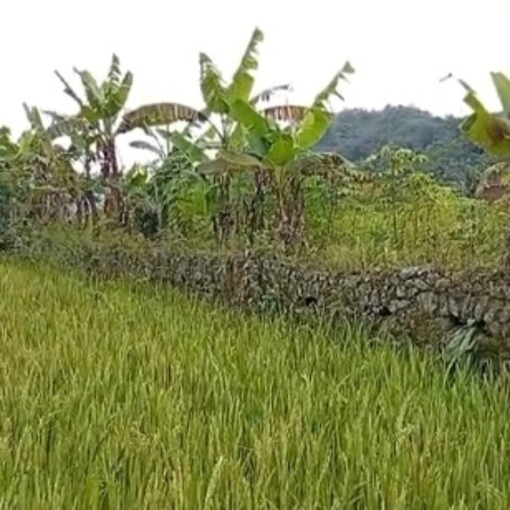 Apakah Sukabumi Merupakan Basis Militer Kolonial Pertama?