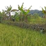 Apakah Sukabumi Merupakan Basis Militer Kolonial Pertama?