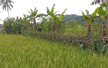 Apakah Sukabumi Merupakan Basis Militer Kolonial Pertama?