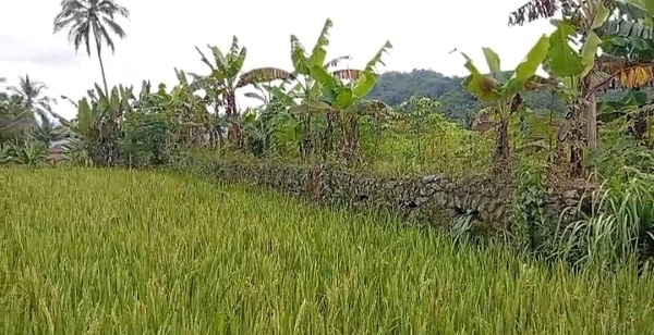 Apakah Sukabumi Merupakan Basis Militer Kolonial Pertama?