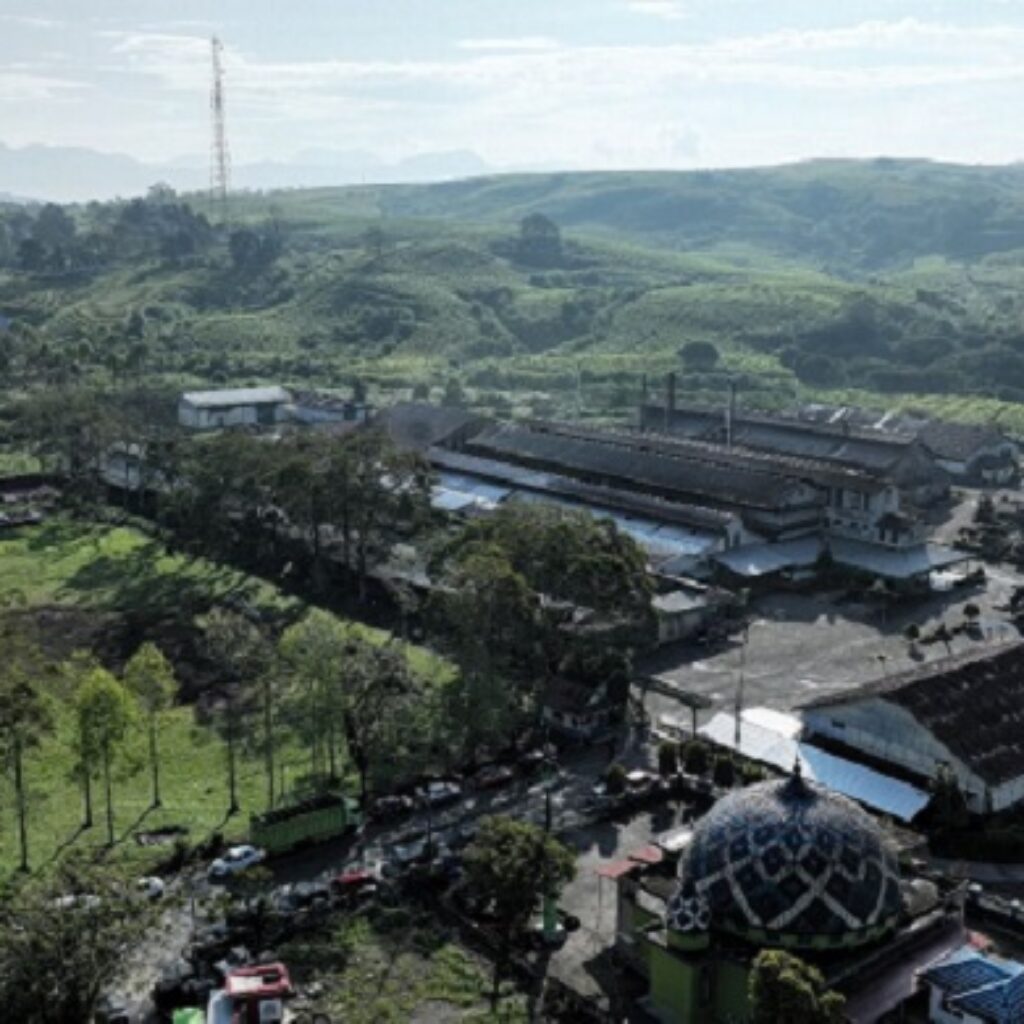 PalmCo Jaga Warisan Sejarah Perkebunan Nusantara di Tengah Transformasi Industri Sawit