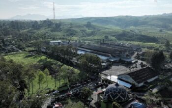 PalmCo Jaga Warisan Sejarah Perkebunan Nusantara