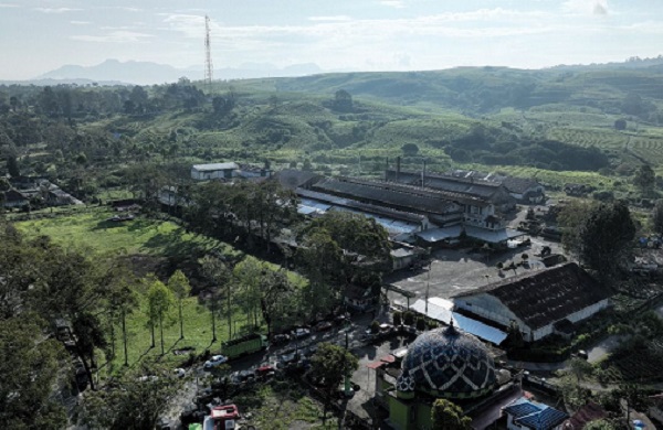 PalmCo Jaga Warisan Sejarah Perkebunan Nusantara