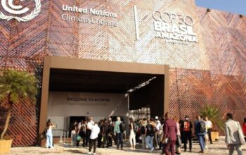 PalmCo Unjuk Kekuatan di COP30 Brasil: Sawit Indonesia Diakui Sebagai Solusi Iklim