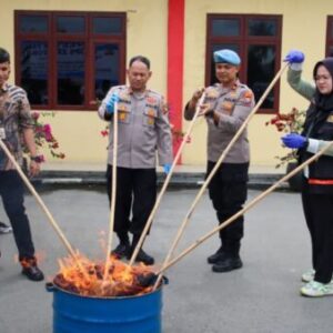 Polres Pelabuhan Belawan Musnahkan Ribuan Gram Narkoba Hasil Ungkapan Kasus