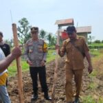 Polsek Matan Hilir Selatan Tanam Jagung Hibrida Dukung Ketahanan Pangan Nasional