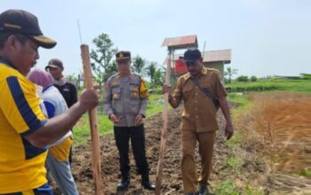 Kapolsek Matan Hilir Selatan bersama Kepala Desa Sungai Pelang dan masyarakat menanam jagung hibrida di Ketapang untuk mendukung ketahanan pangan nasional.