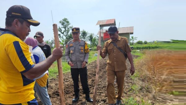 Kapolsek Matan Hilir Selatan bersama Kepala Desa Sungai Pelang dan masyarakat menanam jagung hibrida di Ketapang untuk mendukung ketahanan pangan nasional.