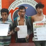 Polres Padang Lawas Gerebek Jaringan Pengedar Ganja, Dua Tersangka dan Tiga Pemakai Diamankan