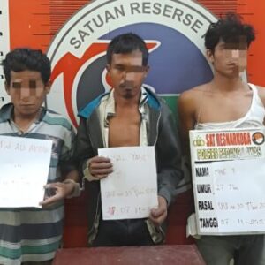 Polres Padang Lawas Gerebek Jaringan Pengedar Ganja, Dua Tersangka dan Tiga Pemakai Diamankan