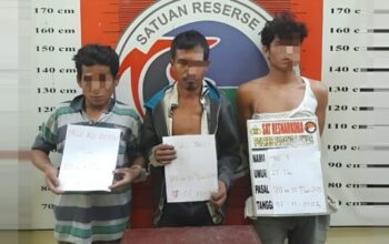 Polisi Polres Padang Lawas amankan dua tersangka pengedar ganja dan barang bukti di Mapolres Palas