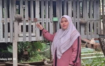 Inovasi peternakan rakyat oleh Qomafi Farm Group untuk penguatan ketahanan pangan